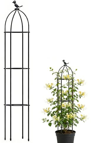 Traliccio per Piante in Vaso | Supporti Antiruggine Decorative a - Paletti di Supporto per Piante,per Uso Interno Esterno su Rosa Clematide Verdura Frutta Cetriolo Uva Patio Giardino Sentiero