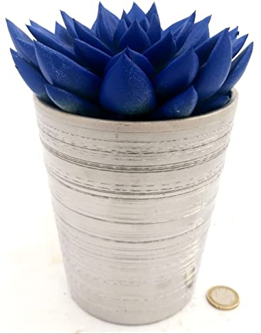 POWERS TO FLOWERS - ECHEVERIA' PICASSO BLU IN VASO CERAMICA ARGENTO, VASO 13CM, CACTUS COLOR LIFE, pianta vera
