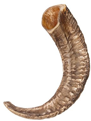 Frera Trinkhorn, Schaf, ca. 60-120 ml, 0,06-0,12 l, Naturhorn, lebensmittelecht lackiert