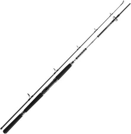 Daiwa Steckrute BG Deep Sea XH Länge 2,20m Wurfgewicht 150-300g