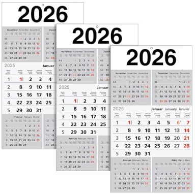 3x 5-Monats-Wandkalender 2026
