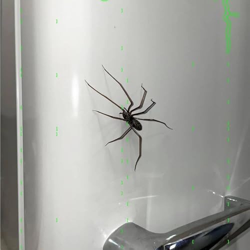 Yamobi 3D Spinne Kühlschrankmagnet, Realistische Spinnen Magnete, Prank Artikel für Halloween, Tierische Kühlschrankmagnete, Spinne Dekoration