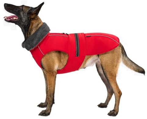 OneTigris Hundemantel, STORMWALL Wasserdicht Hundejacke mit Verstellbarer Rückenlänge Fleecefutter Reflektierend und Fellkragen für Wanderungen Outdoor für Mittelere & Große Hunde Rot L