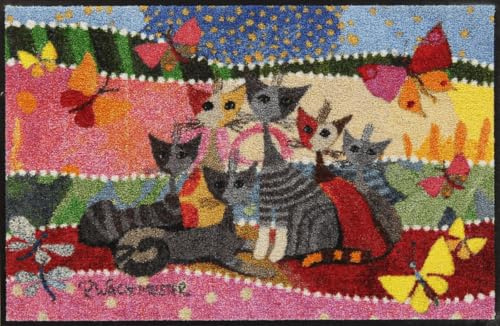 Salonloewe Rosina Wachtmeister Fasce di Colore Doormat 50 x 75 cm Entrance Mat with Colourful Design Washable Door Mat Indoor and Outdoor Hallway Rug Design Mat