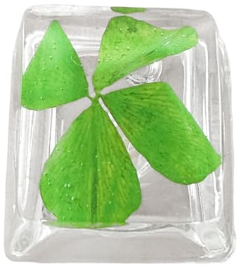 Transparency Clovers - Tecla retroiluminada, tréboles de resina de repuesto para teclados mecánicos, decoración de teclados de oficina