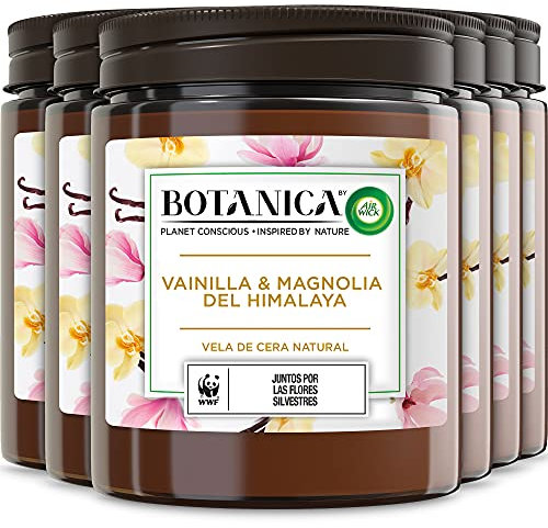 Botanica by Air Wick - Vela Aromática Perfumada (Ambientador Esencia Para Casa Con Aroma A Vainilla Y Magnolia Del Himalaya) - Pack De 6, Naturaleza, 205 g (Paquete de 6)