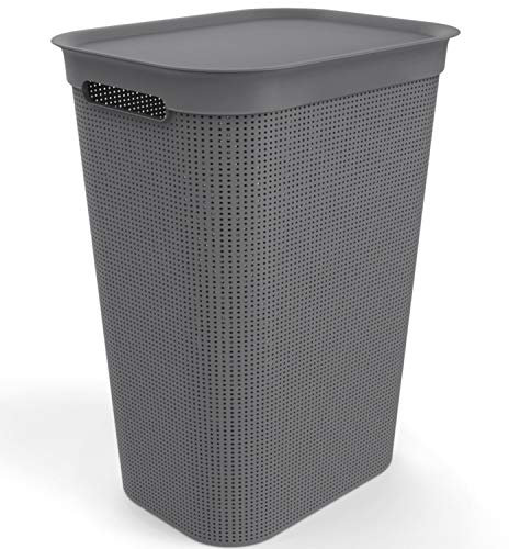 Rotho Brisen Wäschesammler 50l mit Deckel und Griffen, Kunststoff (PP) BPA-frei, anthrazit, 50l (43.1 x 34.0 x 52.9 cm)