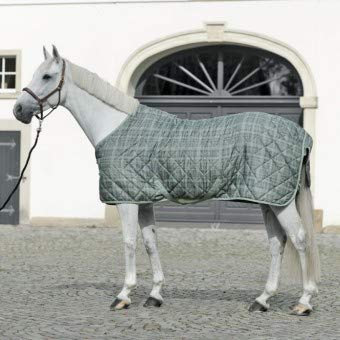 Stalldecke TORONTO, 100g