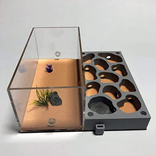 Ameisenfarm Kreatives Ameisenschloss Ameisennest aus Beton Ameisenfarm Acryl-Display-Box Pet Ameisenhaufen-Werkstatt Lebende Ameisen-Fütterungsbox beobachten