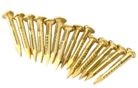 Clou en Laiton, 100 Pièces de Clous à Tête Ronde en Laiton, Accessoires de Quincaillerie de Charnière de Meubles 10 Mm/15 Mm/18 Mm/22 Mm, pour Suspendre un Miroir de Cadre (10 mm