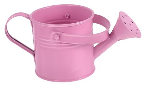 ibasenice Regadera para Plantas Regadera Decorativa para Bonsáis Mini Pequeña para Interiores De Metal Bonita De Hierro