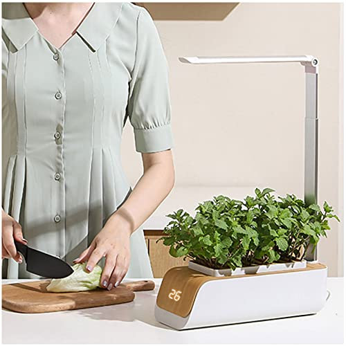 VVLXRIC Kit Hidroponico, LáMpara para Plantas Interior Aviso De Nivel De Agua, Altura Ajustable, Mini Invernadero Interior, Adecuado para HidroponíA, Suculentas, Etc