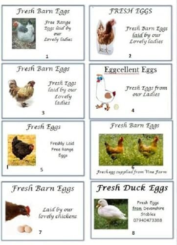 Anglia Farm Supplies Sheet of 8 x Egg Box labels Personalised Chicken Duck Hen Fresh Barn Boxes (25 sheets)