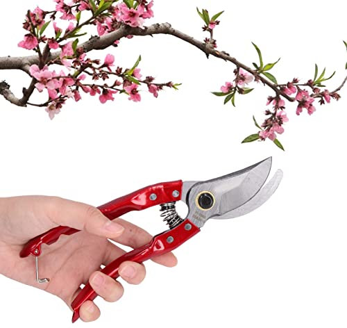 ZXZUCVE 2er-Pack Gartenscheren, scharfe Gartenscheren, Gartenscheren, Gartenscheren aus Edelstahl für die Gartenarbeit, Gartenscheren, Scheren für Gartengeräte