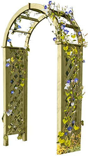 Gartenpirat Pergola mit Rundbogen 119x58x240 cm aus imprägnierter Kiefer | Rosenbogen mit vormontiertem Rankgitter | Rankhilfe für Rosen, Efeu & Kletterpflanzen