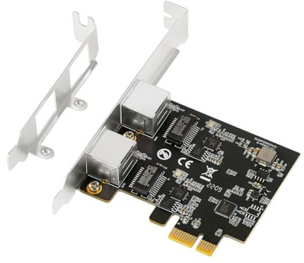NKBSDKM Carte Réseau Gigabit 2,5G avec 2 Ports 2500Mbps, Adaptateur PCIe 2.5Gb, Carte Ethernet Noire en Plastique + Métal, Carte Contrôleur LAN RJ45 pour Ordinateur.
