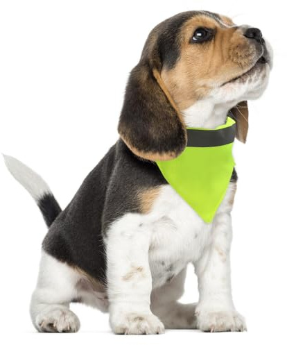 Hundeschal Reflektierende, 1 Stuck Waschbare Hohe Sichtbarkeit Halsdreiecke, Hundehalstücher mit längenverstellbarer Schnalle für kleine bis mittelgroße Hunde, Nachtspaziergänge und Reisen