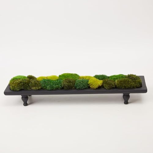 prefleur Moss No Bowl 4 Farben Mix Pack Konservierte Stange Mooskissen Brötchen Kissen Natürliches dekoratives DIY-Kit Kunst Wand Florist Osterdekoration (0.15 m², Grün-A, B, C-D)