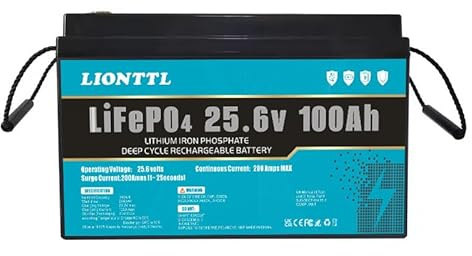 Langlebige Batterien,LiFePO4 Batterie 24V(25.6V) 100Ah LiFePO4 Akku,