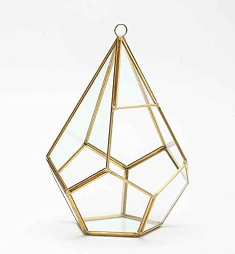 Floralcraft® Hanging Teardrop Terrarium, Gold Glass Plant Display (H26 x W17cm), Decorative Hanging Planter for Succulents, Air Plants, Moss & Cacti