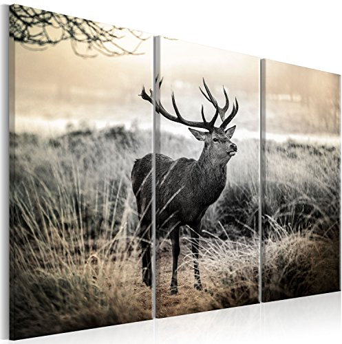 murando - Akustikbild Hirsch Bilder Akustikschaum Hochleistungsschallabsorber Schallschutz Leinwand 3 tlg Wandbild Raumakustik Schalldämmung Tiere Natur g-B-0053-b-h
