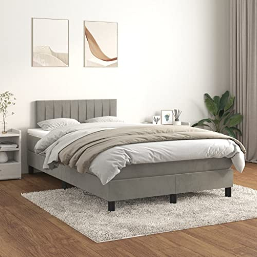 KOIECETA Boxspringbett mit Matratze Polsterbett Bett Hotelbett Einzelbett Bettrahmen Bettgestell Lattenrost Schlafzimmerbett Hellgrau 120x200 cm Samt