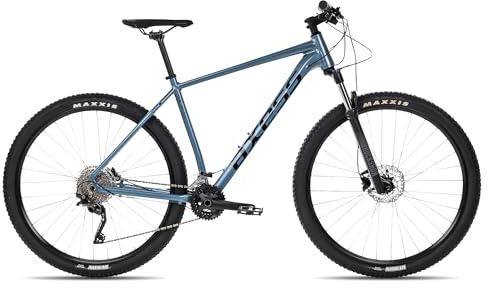Axess Rogue Mountainbike | MTB-Hardtail | 29 Zoll Herrenfahrrad | 20-Gang Schaltung | Hydraulische Scheibenbremsen