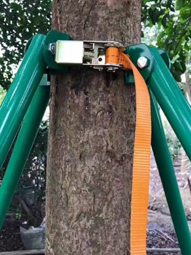 WLCGYD Tuteurs pour Arbres Cadre De Support pour Pommier, Rosier, Glycine, Pivoine, Grand Système De Tuteurs pour Soutenir Un Arbre De 2,5 Mètres, 2 M, 1,5 M Ou 1,8 M(2.2m)