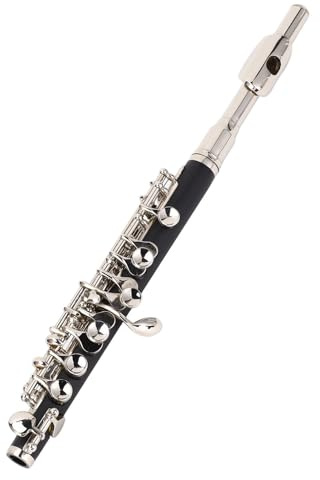 C Piccolo Instrument, einfach zu bedienen Metall -Flöten -Orchesterinstrument mit Reinigungskit mit Tragetasche für Studentenbande