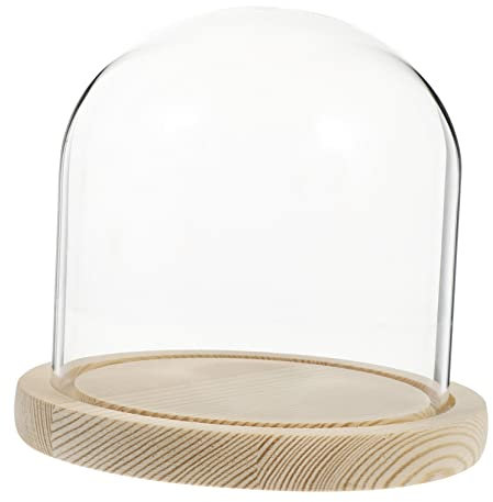 Hoement Glass Pot Cover with Design for Outdoor Garden Use Creative Material Glass Material for Flower Preservation Small
