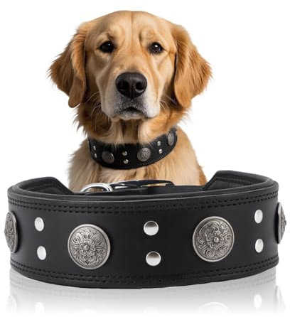Lederhalsband Hund, 5cm Hundehalsband Leder Breit, Einstellbar Hunde Halsbänder Mit Metallschnalle, Halsband Hund Breit Für Große Und Mittelgroße Hunderassen (Schwarz, L)