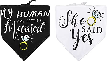 Hundehalstücher, Hund Bandana, Hunde halstücher, 2er Set Halstuch für Hunde, Hundebekleidung & Zubehör, Hundehalstuch Bandanas für Kleine Mittelgroße Große Hunde Katzen