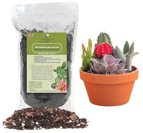 Professional Succulent Soil Premium All Purpose Blend | Pre-Mixed Ready to Use for Cactus and Succulents | Premium Compost, Perlite, Pine Bark - Made in UK - 1 LITER