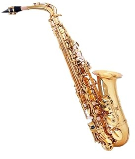 Saxophone Professionnel Altsaxophon Professionelle Prüfung Spielen Saxophon Instrument Erwachsene Anfänger Es
