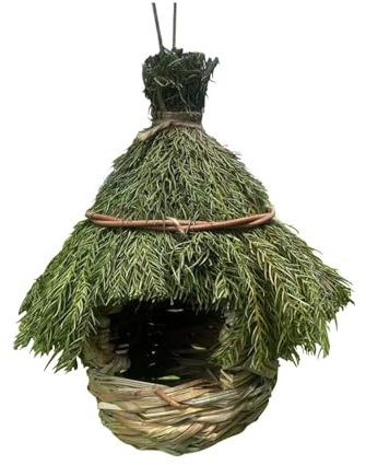 Jardinage nid d'oiseau pour pinsons : branches et vignes durables, nichoir tissé à la main, observation des canaris ou site de nidification naturel. Les oiseaux sauvages créent un environnement sûr et