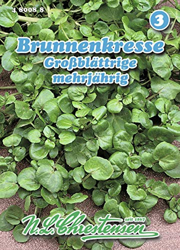 N.L. Chrestensen 480088 Brunnenkresse Großblättrige (Kressesamen)