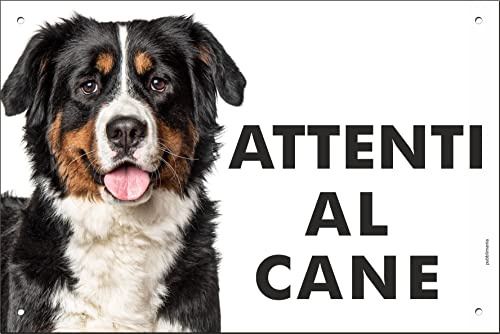 Pubblimania Cartello Attenti al Cane Bovaro del Bernese - Targa Segnaletica in Alluminio composito 3 mm di spessore - Resistente alle Intemperie e ai Raggi UV - Fori Pre-perforati (Cm 20x30)