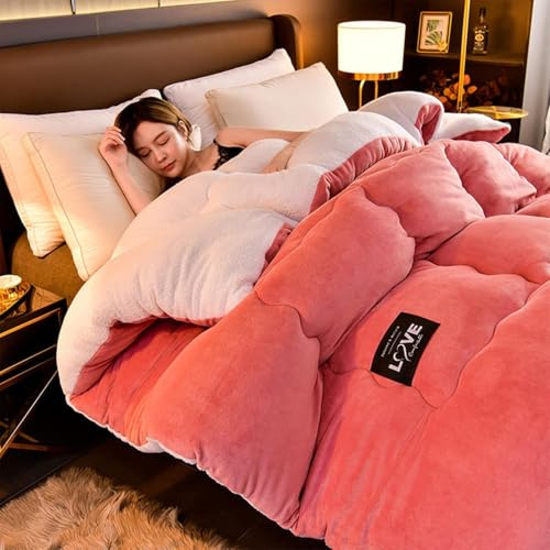 SAYEYBU Couette en Agneau Super Chaude, Couverture d'hiver en Polaire Double Face, éPaisse en Peluche Chaude, Duvet de Couleur Unie, Lavable en Machine, D,220x240cm(5kg)