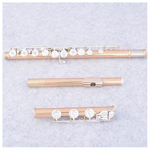 TSTS 17 Offene Löcher C-Taste Flöte Cupronickel Versilbert Goldenes Professionelles Flötenmusikinstrument Einsteiger Querflöten