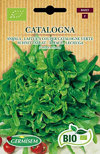 Germisem Biologico Catalogna Semi di Lattuga 1 g