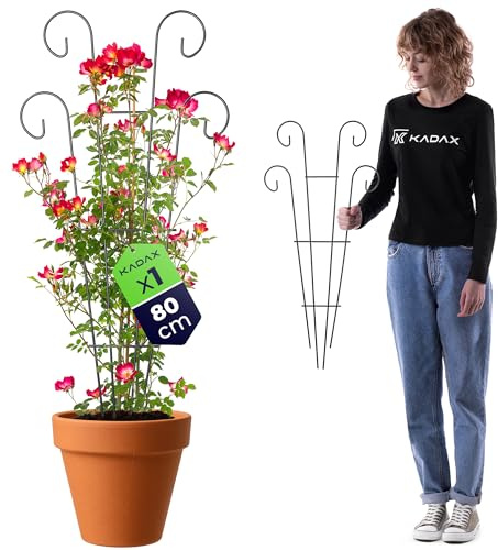 KADAX Metall Rankgitter 36 x 80 cm, Rankhilfe für Kletterpflanzen wie Rosen & Clematis, Pflanzen Spalier für Garten, Balkon & Terrasse, Pflanzengitter aus Stahl