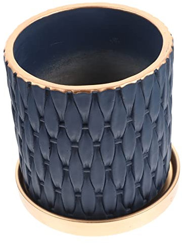 BESPORTBLE Blumentopf zimmerpflanzen Bonsaischale Töpfe für Freilandpflanzen Anlage Pflanzenbehälter Garten blumentöpfe Kindergarten Container Saftige Sämlinge Pflanztopf Sukkulente Pflanzen