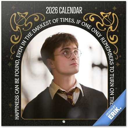Grupo Erik - Calendrier Harry Potter Films 2026 Mural - Calendrier 2026 Mural Mensuel │ Idee Cadeau : Calendriers Muraux │ De Janvier à Décembre : Espace pour notes et Illustrations (30x60 cm)