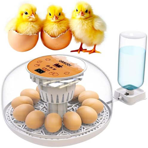 Okkobi M12 Automatisk ägginkubator med automatisk äggkopp och fuktighetskontroll, hönsägginkubator - 12/24 ägg, 360° syn, lätt att använda och rengöra - Vit och orange