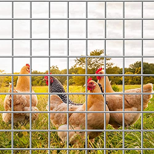 QQXY 304 Edelstahl Wire Mesh Drahtgitter Drahtgewebe 6 Mesh Hühnerzaun Hasengitter für Belüftung Schutzgitter Metall Wachmann Garten Bildschirm Schränke(100 x 100 cm)