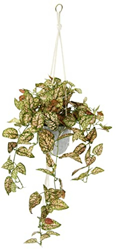 Flair Flower Filete Colgante Artificial con Maceta, Planta Artificial, Guirnalda, Planta Verde, Planta Verde, Planta de Interior, Planta trepadora, Hiedra, Hiedra, Maceta, Flor Artificial, Fittonia