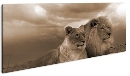 Leinwandbild Löwen in Afrika, ruhend im goldenen Gras der Savanne. Panorama Format: 60x30 cm Effekt: Sepia XXL Kunstdruck Bild auf Keilrahmen/Wandbild/Wohnzimmer Deko