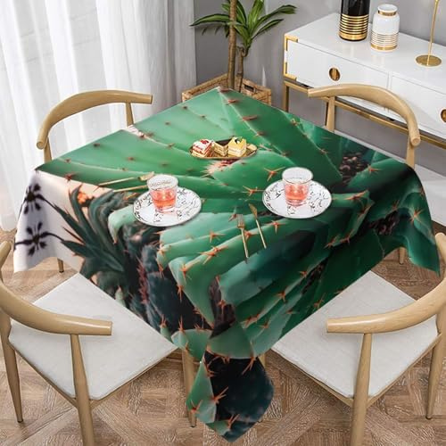 WZYWHJ Square Decorative Tablecloth 60x60 tablecloths Coffee Table Cloths Washable and Reusable Agave Cactus Picture