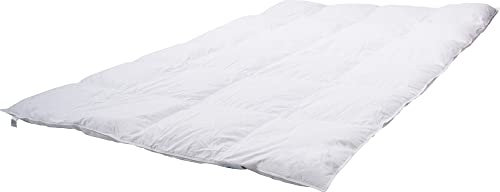Erwin Müller Bettdecke, Daunendecke, Kassettendecke Daunen-Feder Serie Oslo 2 cm Stege - Wärmestufe 2 Größe 155x220 cm - mit Innenstege, Bezug 100% Baumwolle, trocknergeeignet