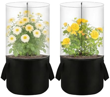 Mini Serra Da Interno - Mini Protettore Contro Il Freddo Per Vasi Di Piante,Protezione Dal Per Ambienti Soleggiati - Per Interno ed Esterno, Giardino, Balcone, Serra, Inverno, Vivaio e Casa